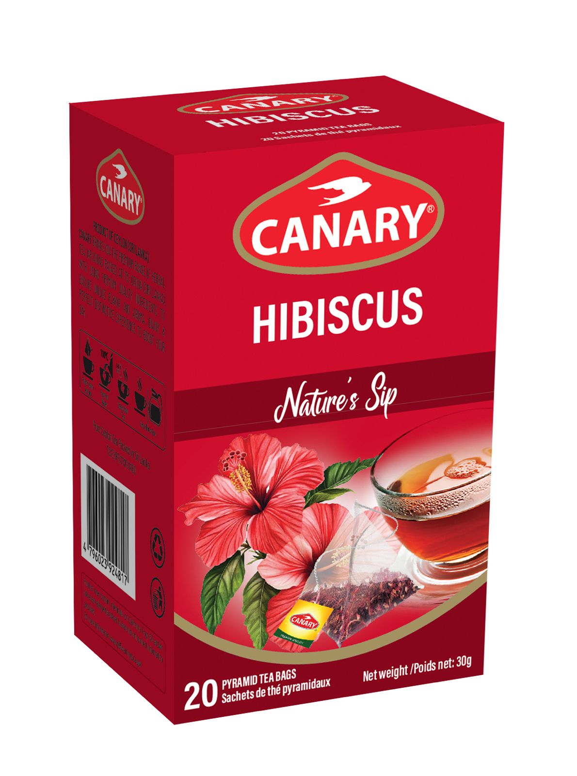 Canary Hibiscus Tea 24x20 TB