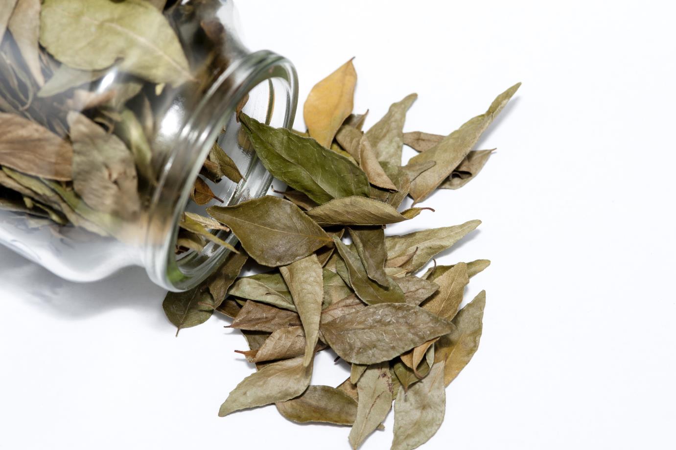 Canary Bay Leaf 11 lb