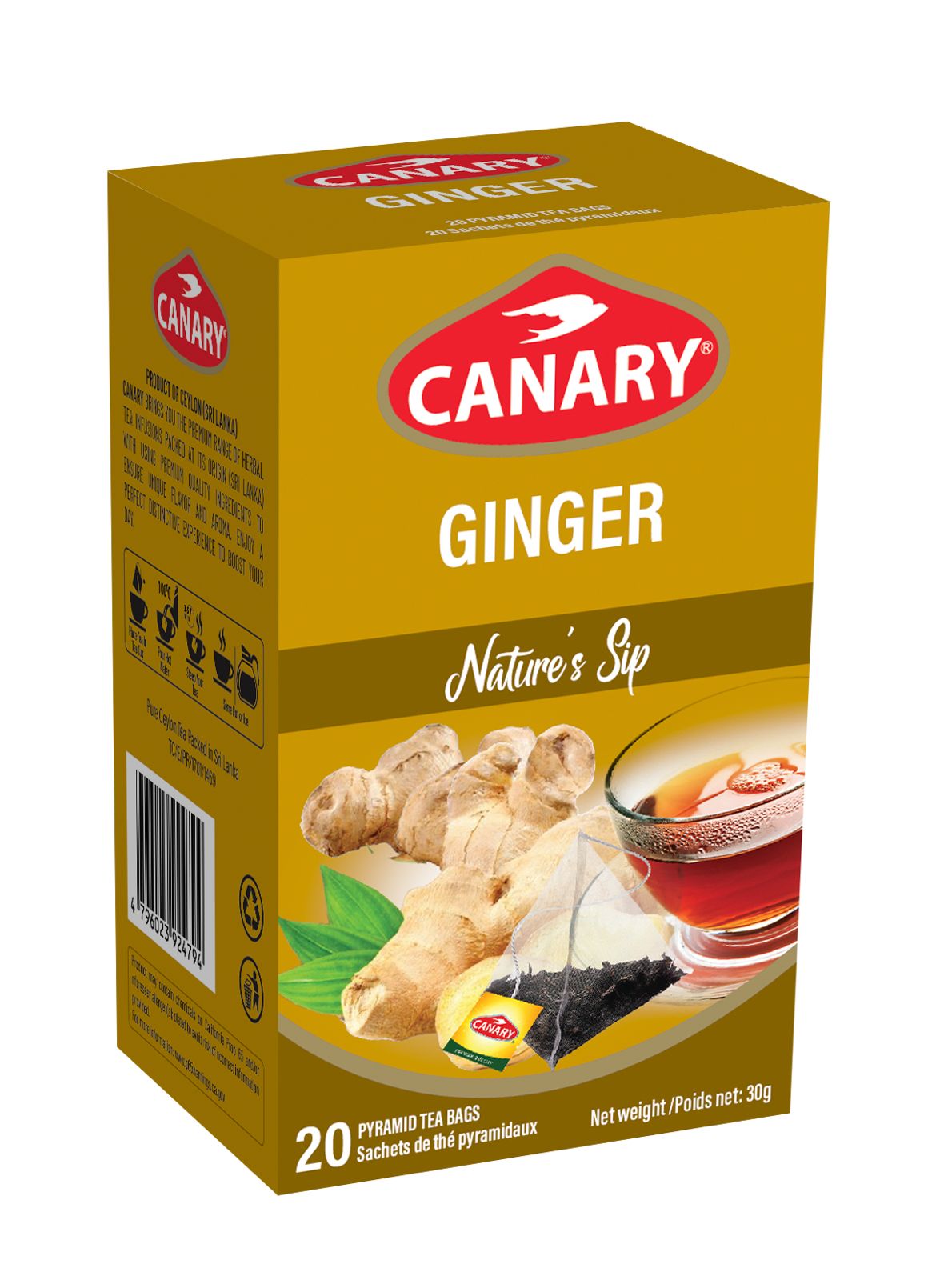 Canary Ginger Tea 24x20 TB