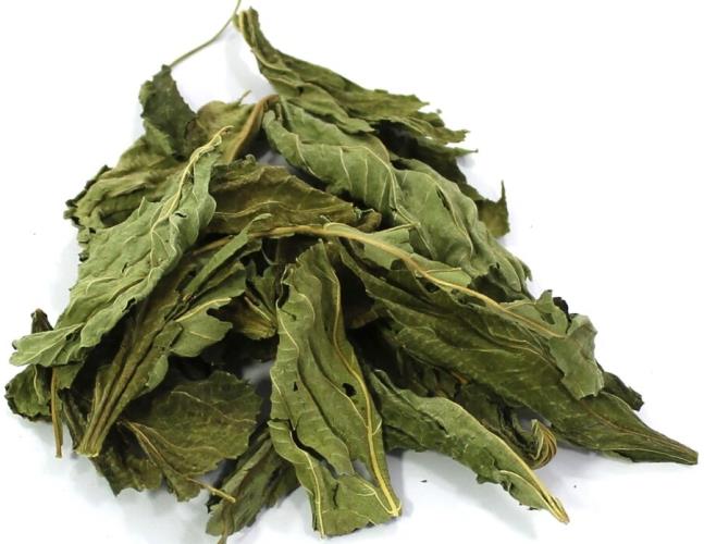 Canary Dry Molokhia 1x11 lb