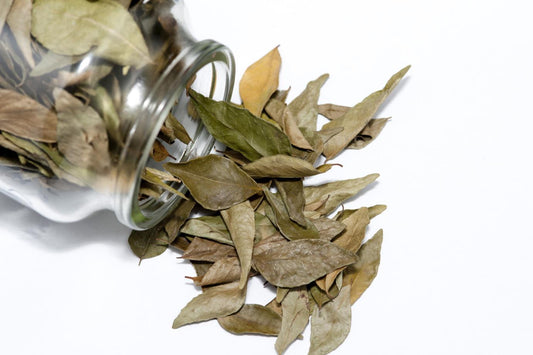 Canary Bay Leaf 11 lb