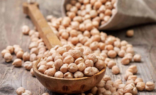 Canary Garbanzo Beans (9 mm) 50 lb