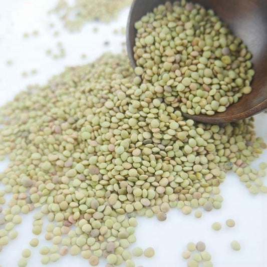 Canary Green Lentils 50 lb